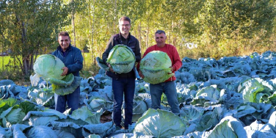 Ata tohumundan üretildi, rekor verim sağladı! Coğrafi işaretli üründe güldüren hasat: Tanesi 150 TL’den satılıyor 4